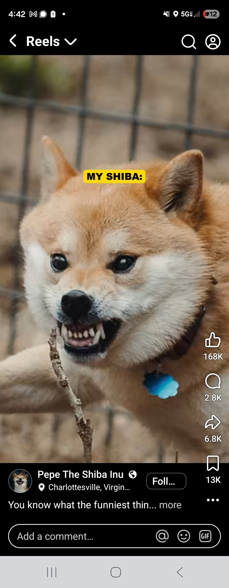 The Main cover image